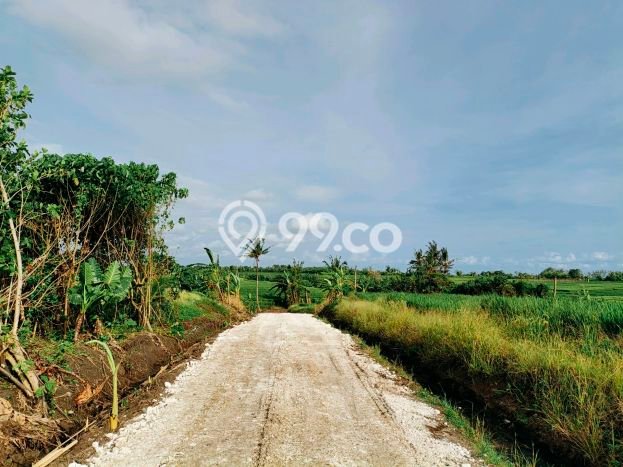 Lahan Investasi Lokasi Tabanan Tabanan SHM Lahan Investasi Lokasi Tabanan Tabanan SHM