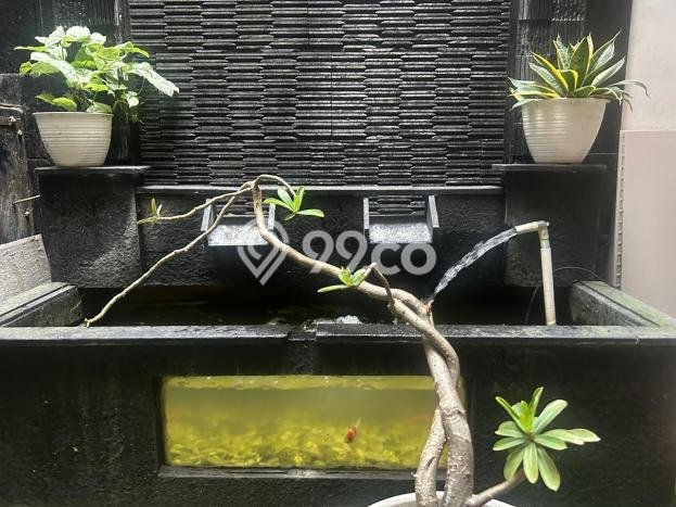 Rumah Luas Asri 3 KT Siap Huni di Cibubur Bogor Rumah Luas Asri 3 KT Siap Huni di Cibubur Bogor