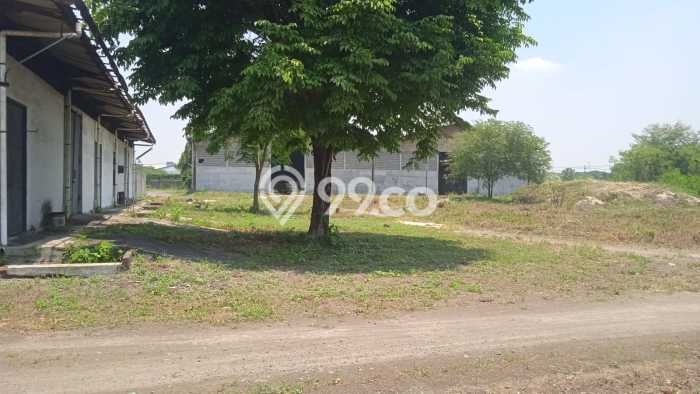 Unit Gudang Dijual di Krian Sidoarjo Luas Tanah 50000m2, Luas Bangunan 12000m2 Unit Gudang Dijual di Krian Sidoarjo Luas Tanah 50000m2, Luas Bangunan 12000m2