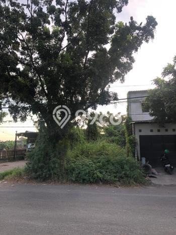 Tanah Kawasan Cerme, Luas 118m2m², Area Strategis, Kawasan Asri, Bebas Banjir Tanah Kawasan Cerme, Luas 118m2m², Area Strategis, Kawasan Asri, Bebas Banjir