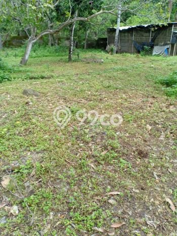 Untuk Dijual Tanah di Buleleng Buleleng Luas 9400m2 SHM Untuk Dijual Tanah di Buleleng Buleleng Luas 9400m2 SHM