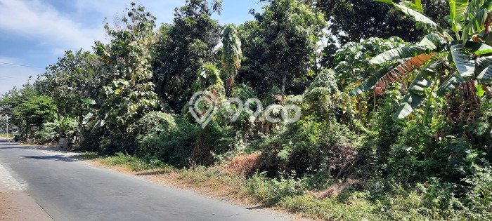 Dijual Tanah Area Prospektif Kawasan Sukoharjo, Luas 100m2m², Dekat Sukoharjo, Sukoharjo, Sukoharjo Dijual Tanah Area Prospektif Kawasan Sukoharjo, Luas 100m2m², Dekat Sukoharjo, Sukoharjo, Sukoharjo