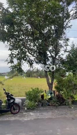 Rumah Terjangkau Dijual di Solo Baru, Solo Harga Rp 450 Juta Rumah Terjangkau Dijual di Solo Baru, Solo Harga Rp 450 Juta