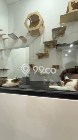 Apartemen Murah Dijual di Bandung 0 KT & 1 KM Apartemen Murah Dijual di Bandung 0 KT & 1 KM