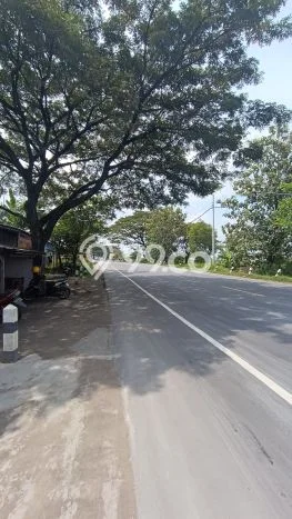Kavling Tanah untuk Dijual di Sambungmacan, Sragen, Luas 7975m2 Kavling Tanah untuk Dijual di Sambungmacan, Sragen, Luas 7975m2
