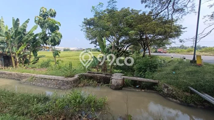 Kavling Tanah untuk Dijual di Sambungmacan, Sragen, Luas 7975m2 Kavling Tanah untuk Dijual di Sambungmacan, Sragen, Luas 7975m2