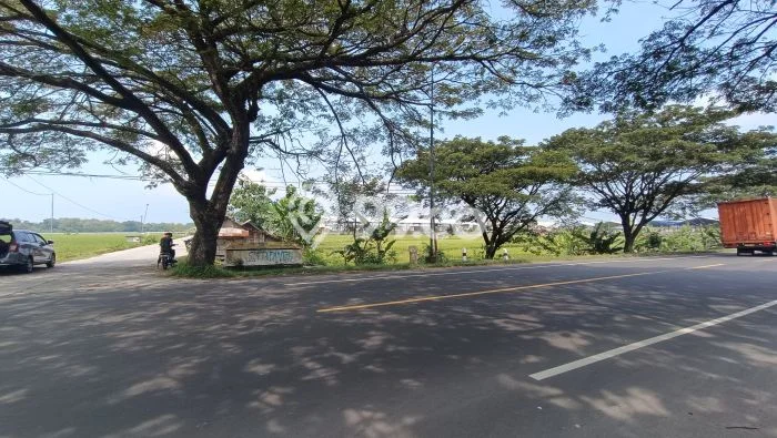 Kavling Tanah untuk Dijual di Sambungmacan, Sragen, Luas 7975m2 Kavling Tanah untuk Dijual di Sambungmacan, Sragen, Luas 7975m2