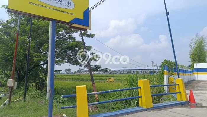 Kavling Tanah untuk Dijual di Sambungmacan, Sragen, Luas 7975m2 Kavling Tanah untuk Dijual di Sambungmacan, Sragen, Luas 7975m2