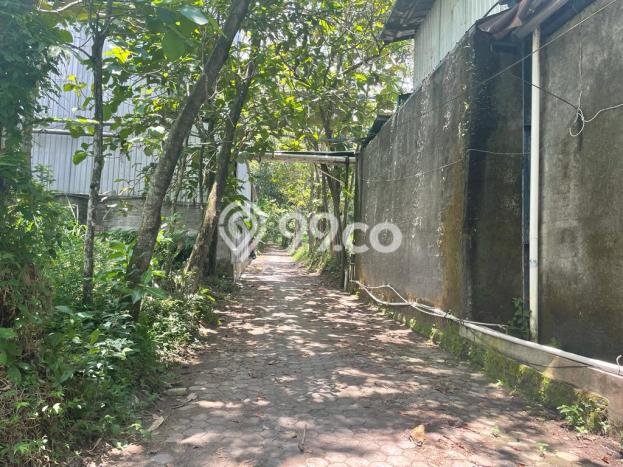 Lokasi Strategis! Dijual Gudang Bisnis di Ampel, Boyolali Kondisi Baik Lokasi Strategis! Dijual Gudang Bisnis di Ampel, Boyolali Kondisi Baik