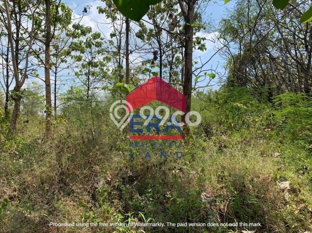 Tanah Dijual Lokasi Tuban, Tuban Luas 6190m2 Legalitas Aman Tanah Dijual Lokasi Tuban, Tuban Luas 6190m2 Legalitas Aman