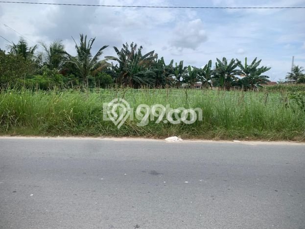 Tanah Dijual Area Strategis di Tanjung Morawa Medan 5376m2 Tanah Dijual Area Strategis di Tanjung Morawa Medan 5376m2