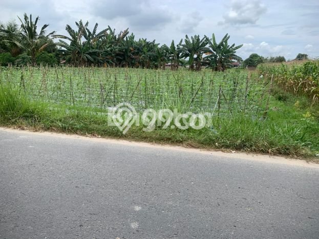Tanah Dijual Area Strategis di Tanjung Morawa Medan 5376m2 Tanah Dijual Area Strategis di Tanjung Morawa Medan 5376m2