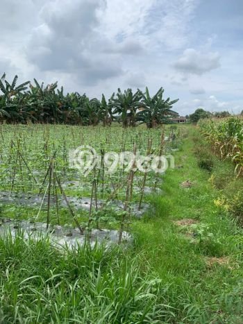 Tanah Dijual Area Strategis di Tanjung Morawa Medan 5376m2 Tanah Dijual Area Strategis di Tanjung Morawa Medan 5376m2