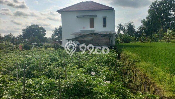 Jarang Ada! Tanah di Pakem Punya Luas 1113m2 SHM Jarang Ada! Tanah di Pakem Punya Luas 1113m2 SHM