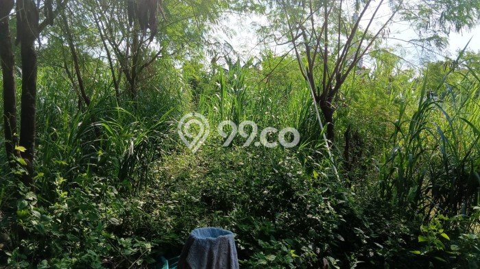 Tanah Kavling Dijual di Yogyakarta dengan Spesifikasi 2650m2 Tanah Kavling Dijual di Yogyakarta dengan Spesifikasi 2650m2