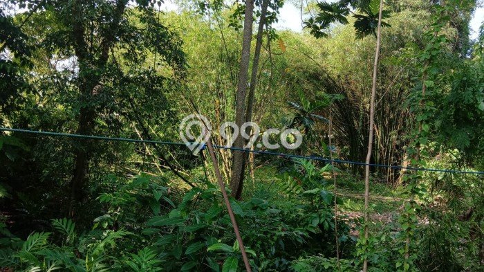 Tanah Kavling Dijual di Yogyakarta dengan Spesifikasi 2650m2 Tanah Kavling Dijual di Yogyakarta dengan Spesifikasi 2650m2