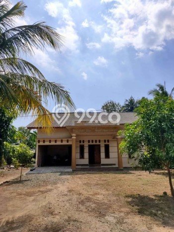 Rumah Modern Cantik 3 KT Bisa Langsung Pindah di Pundong Rumah Modern Cantik 3 KT Bisa Langsung Pindah di Pundong