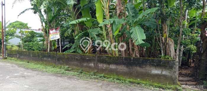 Kavling Tanah Disewakan di Kasihan Bantul Luas 295m2 Strategis Kavling Tanah Disewakan di Kasihan Bantul Luas 295m2 Strategis