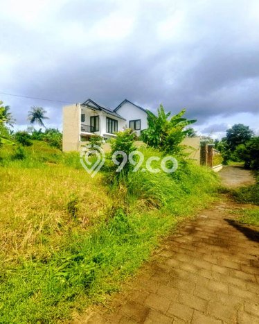 Tanah Kavling Dijual di Tabanan dengan Spesifikasi 560m2 Tanah Kavling Dijual di Tabanan dengan Spesifikasi 560m2