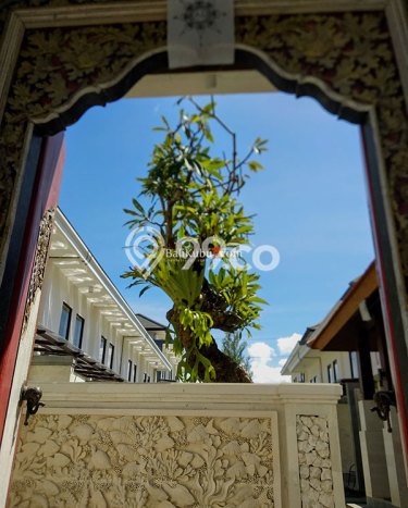 Jarang Ada! Rumah Sewa 1 Kamar Bagus Siap Huni Kesiman Jarang Ada! Rumah Sewa 1 Kamar Bagus Siap Huni Kesiman