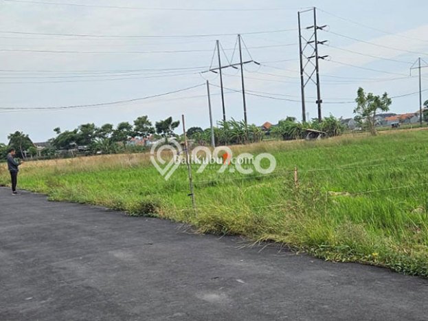 Kavling Tanah untuk Disewa di Renon Lahan Luas 100m2 Kavling Tanah untuk Disewa di Renon Lahan Luas 100m2