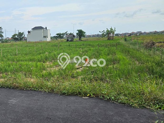 Kavling Tanah untuk Disewa di Renon Lahan Luas 100m2 Kavling Tanah untuk Disewa di Renon Lahan Luas 100m2