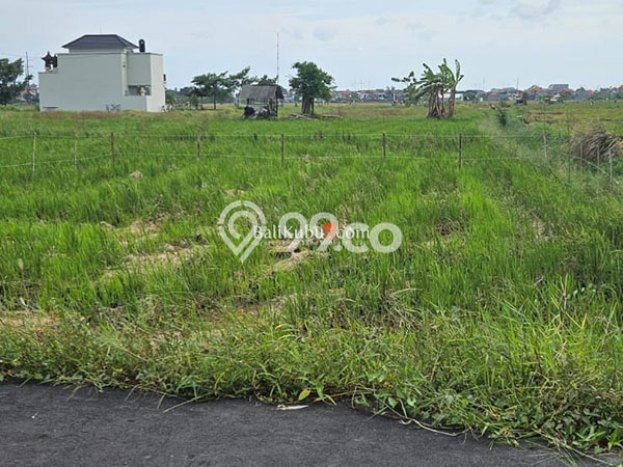 Kavling Tanah untuk Disewa di Renon Lahan Luas 100m2 Kavling Tanah untuk Disewa di Renon Lahan Luas 100m2