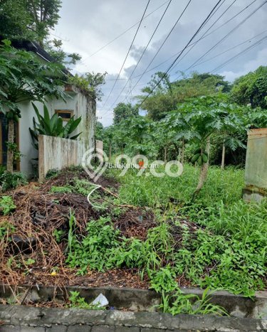 Kavling Tanah Dijual di Tabanan Tabanan Spesifikasi 91m2 Kavling Tanah Dijual di Tabanan Tabanan Spesifikasi 91m2