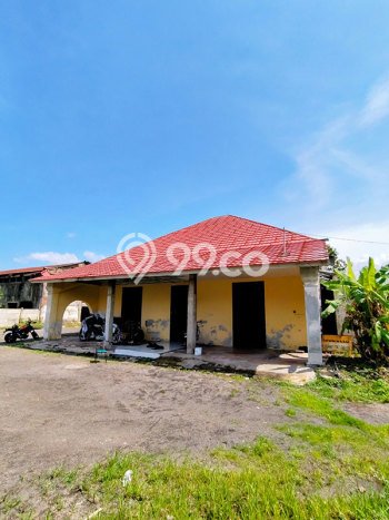 Gudang Disewakan di Area Ramai Buleleng, Buleleng Gudang Disewakan di Area Ramai Buleleng, Buleleng