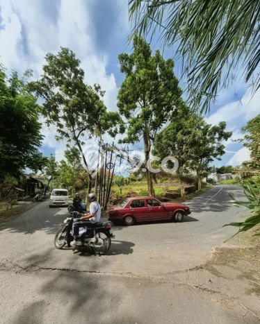 Untuk Dijual Tanah 200m2 di Bitera, Gianyar Untuk Dijual Tanah 200m2 di Bitera, Gianyar