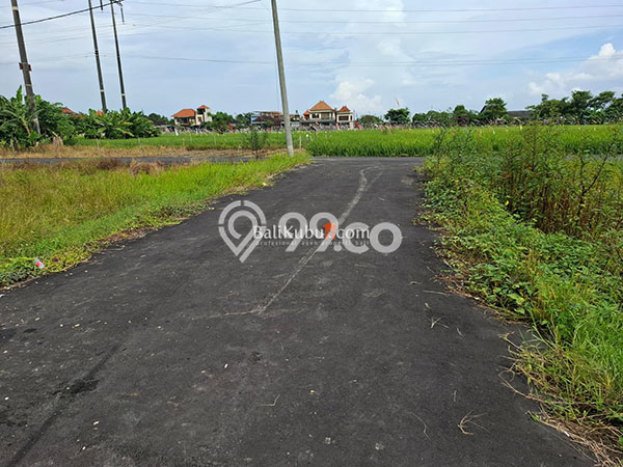 Kavling Tanah untuk Disewa di Renon Lahan Luas 100m2 Kavling Tanah untuk Disewa di Renon Lahan Luas 100m2