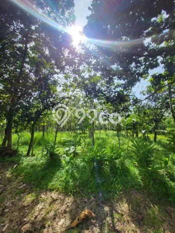 Tanah di Bogor Selatan, Bogor Luas 16000m2 Dijual Segera Tanah di Bogor Selatan, Bogor Luas 16000m2 Dijual Segera