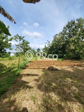Tanah di Bogor Selatan, Bogor Luas 16000m2 Dijual Segera Tanah di Bogor Selatan, Bogor Luas 16000m2 Dijual Segera