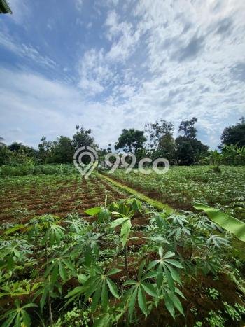 Tanah di Bogor Selatan, Bogor Luas 16000m2 Dijual Segera Tanah di Bogor Selatan, Bogor Luas 16000m2 Dijual Segera