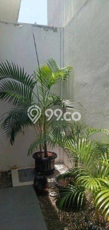 Lokasi Strategis! Dijual Ruko Bisnis di Ciputat, Tangerang Selatan Kondisi Bagus Lokasi Strategis! Dijual Ruko Bisnis di Ciputat, Tangerang Selatan Kondisi Bagus