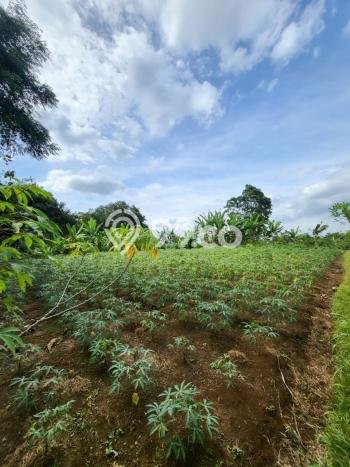 Tanah di Bogor Selatan, Bogor Luas 16000m2 Dijual Segera Tanah di Bogor Selatan, Bogor Luas 16000m2 Dijual Segera