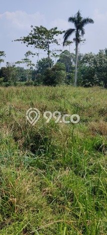 Untuk Dijual Tanah di Bekasi, Luas 11558m2 SHM Untuk Dijual Tanah di Bekasi, Luas 11558m2 SHM