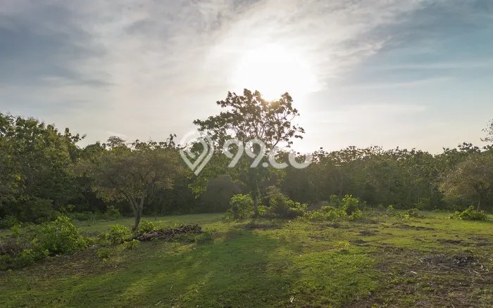 Tanah Dijual di Badung Seluas 1430m2 Strategis Tanah Dijual di Badung Seluas 1430m2 Strategis