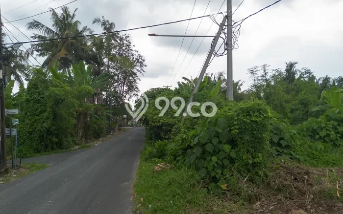 Tanah Disewa di Saba Strategis dan Memiliki Luas 3445m2 Tanah Disewa di Saba Strategis dan Memiliki Luas 3445m2