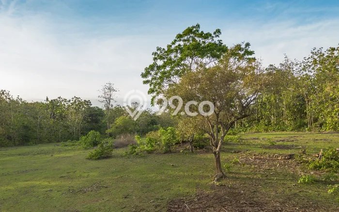Tanah Dijual di Badung Seluas 1430m2 Strategis Tanah Dijual di Badung Seluas 1430m2 Strategis