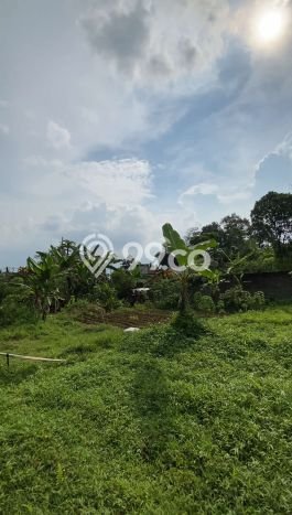 Tanah Dijual Lokasi Megamendung, Bogor dengan Luas Tanah 1350m2 dan Status SHM Tanah Dijual Lokasi Megamendung, Bogor dengan Luas Tanah 1350m2 dan Status SHM