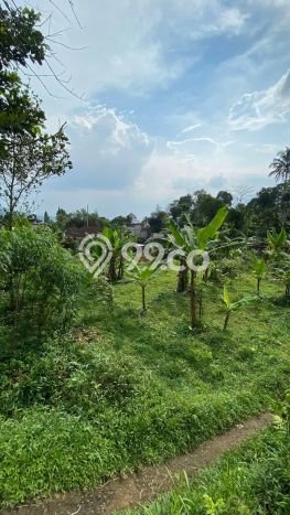 Tanah Dijual Lokasi Megamendung, Bogor dengan Luas Tanah 1350m2 dan Status SHM Tanah Dijual Lokasi Megamendung, Bogor dengan Luas Tanah 1350m2 dan Status SHM
