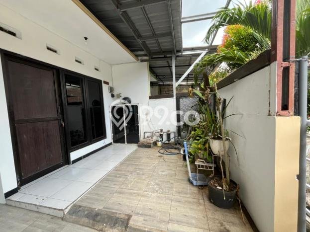 Rumah Murah Dijual di Pedurungan, Semarang Harga Rp 350 Juta Rumah Murah Dijual di Pedurungan, Semarang Harga Rp 350 Juta