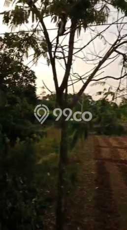 Kavling Tanah Dijual di Subang Subang Spesifikasi 1200m2 Kavling Tanah Dijual di Subang Subang Spesifikasi 1200m2
