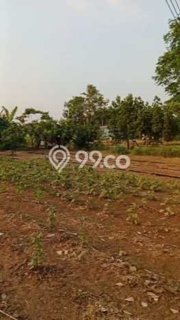Kavling Tanah Dijual di Subang Subang Spesifikasi 1200m2 Kavling Tanah Dijual di Subang Subang Spesifikasi 1200m2