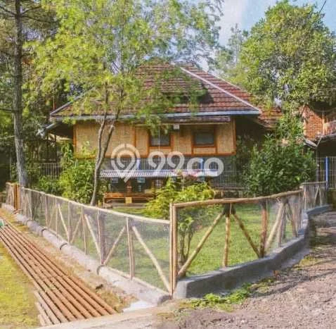 KESEMPATAN EMAS! Vila Kawasan Subang, Area 5600m2m², Lingkungan Eksklusif dengan privasi terjaga KESEMPATAN EMAS! Vila Kawasan Subang, Area 5600m2m², Lingkungan Eksklusif dengan privasi terjaga