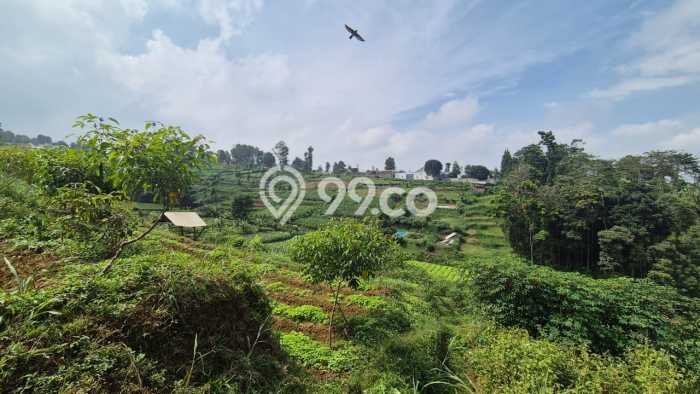Jarang Ada! Tanah di Cimahi Utara Punya Luas 10500m2 SHM Jarang Ada! Tanah di Cimahi Utara Punya Luas 10500m2 SHM