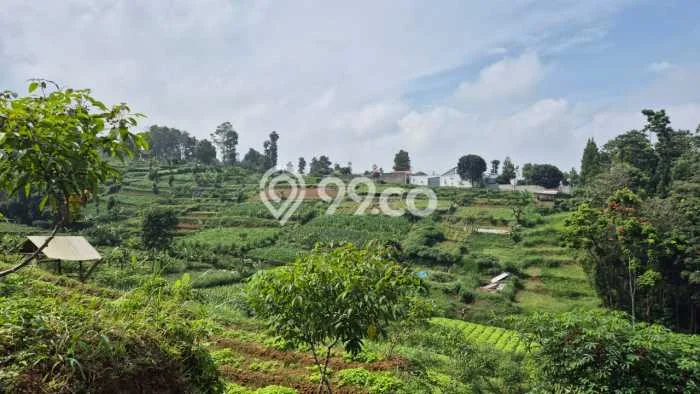 Jarang Ada! Tanah di Cimahi Utara Punya Luas 10500m2 SHM Jarang Ada! Tanah di Cimahi Utara Punya Luas 10500m2 SHM