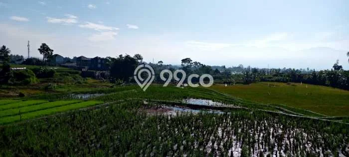 Tanah untuk Dijual Lokasi Garut Kota, Garut Luas 1951m2 SHM Tanah untuk Dijual Lokasi Garut Kota, Garut Luas 1951m2 SHM