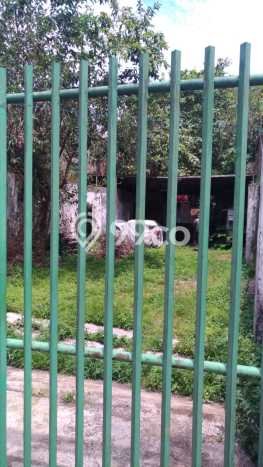 Lahan Investasi Lokasi Cimahi Tengah Cimahi SHM Lahan Investasi Lokasi Cimahi Tengah Cimahi SHM
